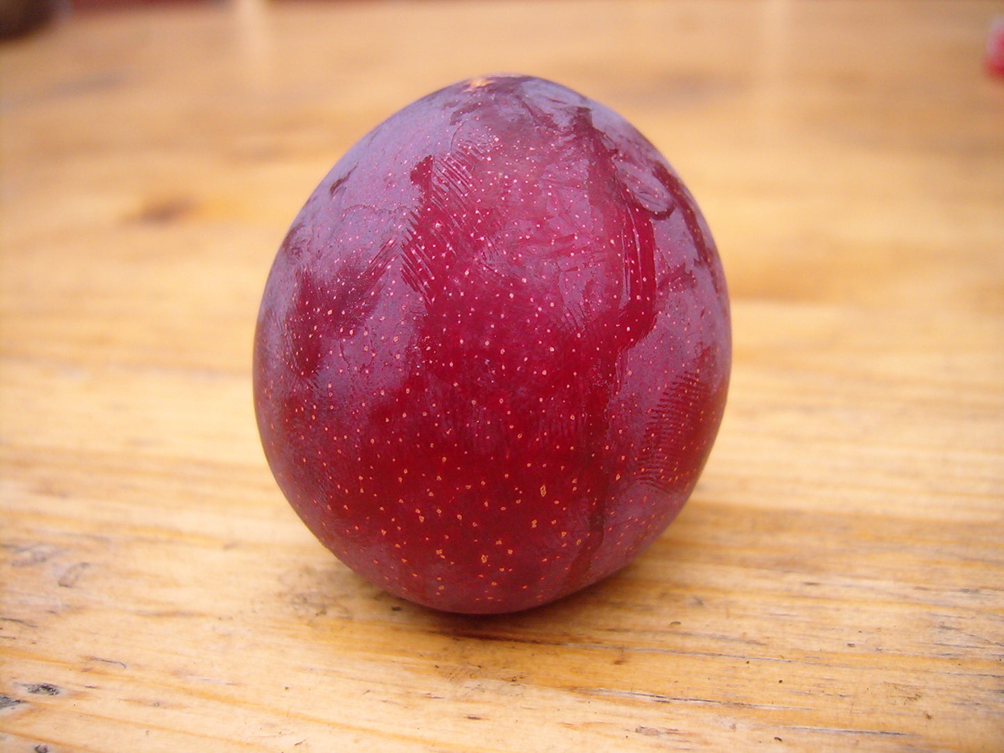 Jap. Pflaume "Kometa"