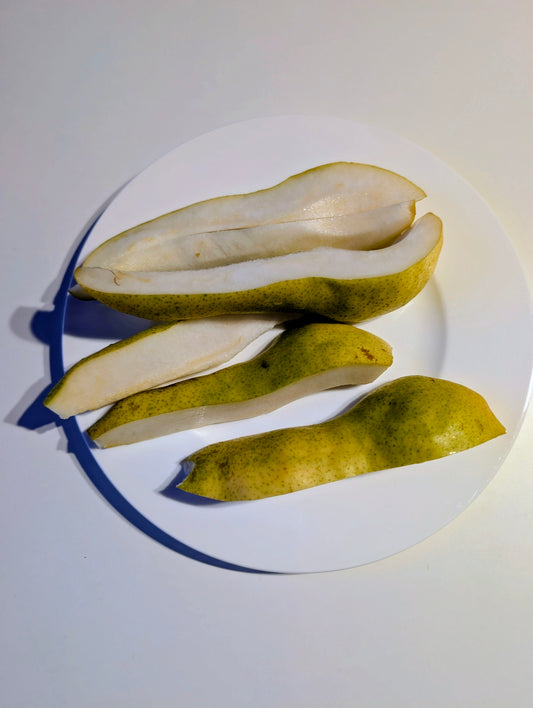 Abate Fetel Birne – Späte, aromatische Herbstbirne mit edlem Geschmack (reift auch in Norddeutschland!)